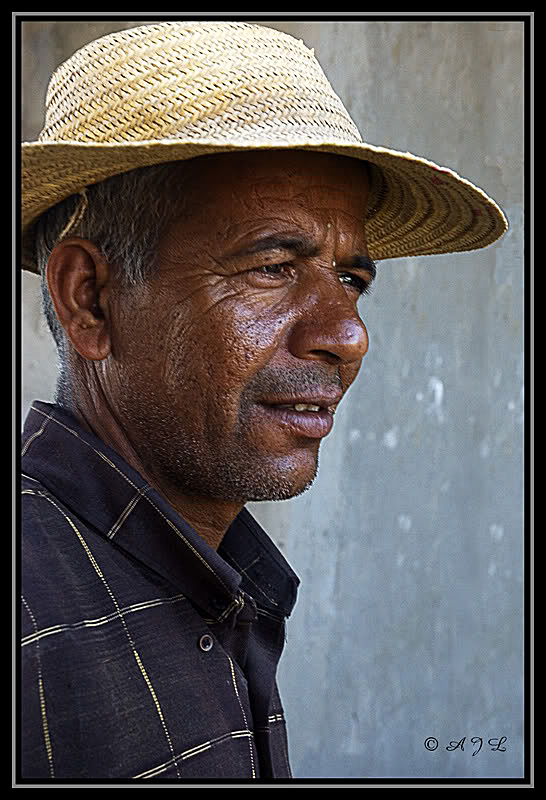 Fotografie